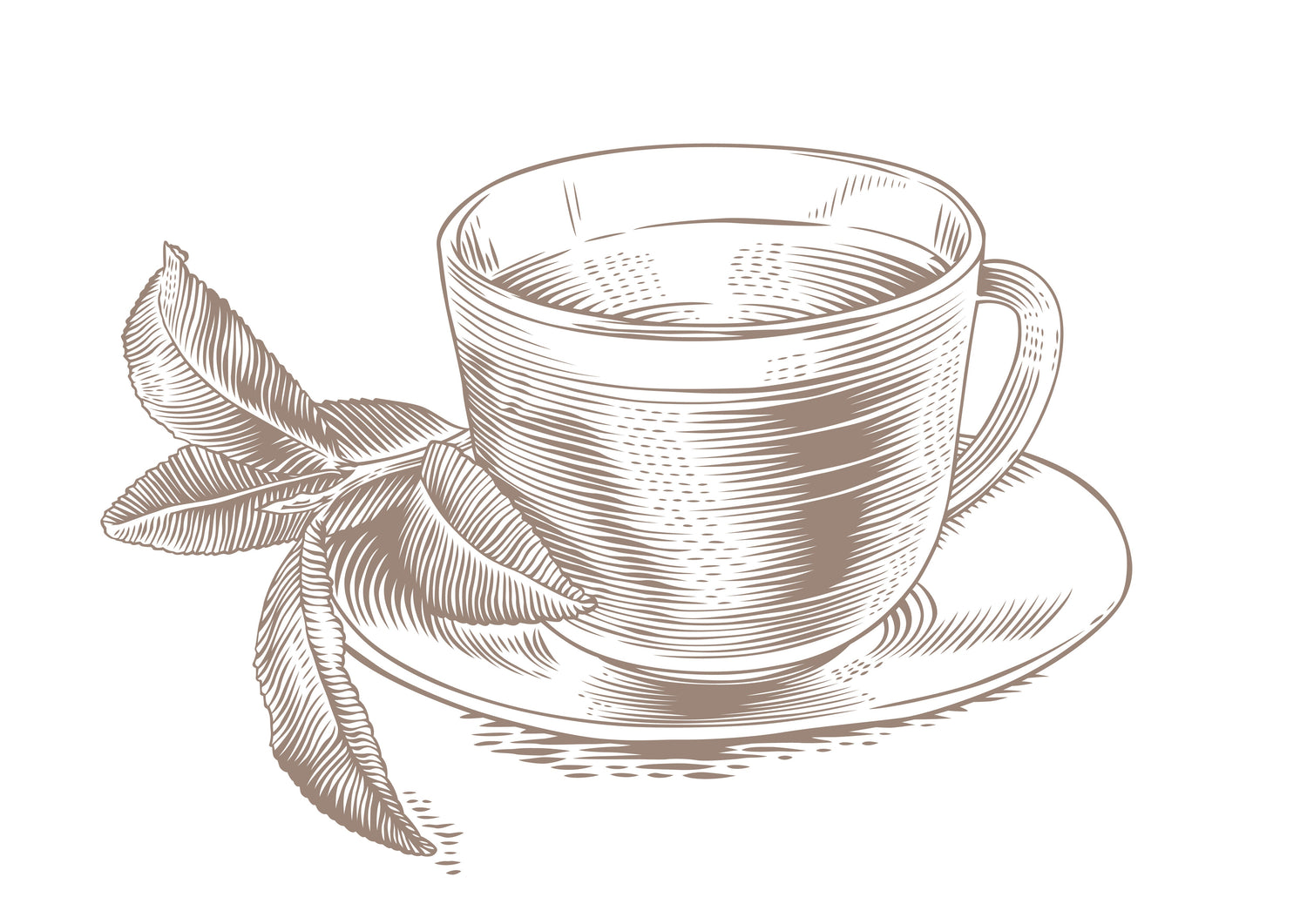 Lemon Verbena Herbal Tea, Caffeine Free by Garden of the Andes in Chile, South America