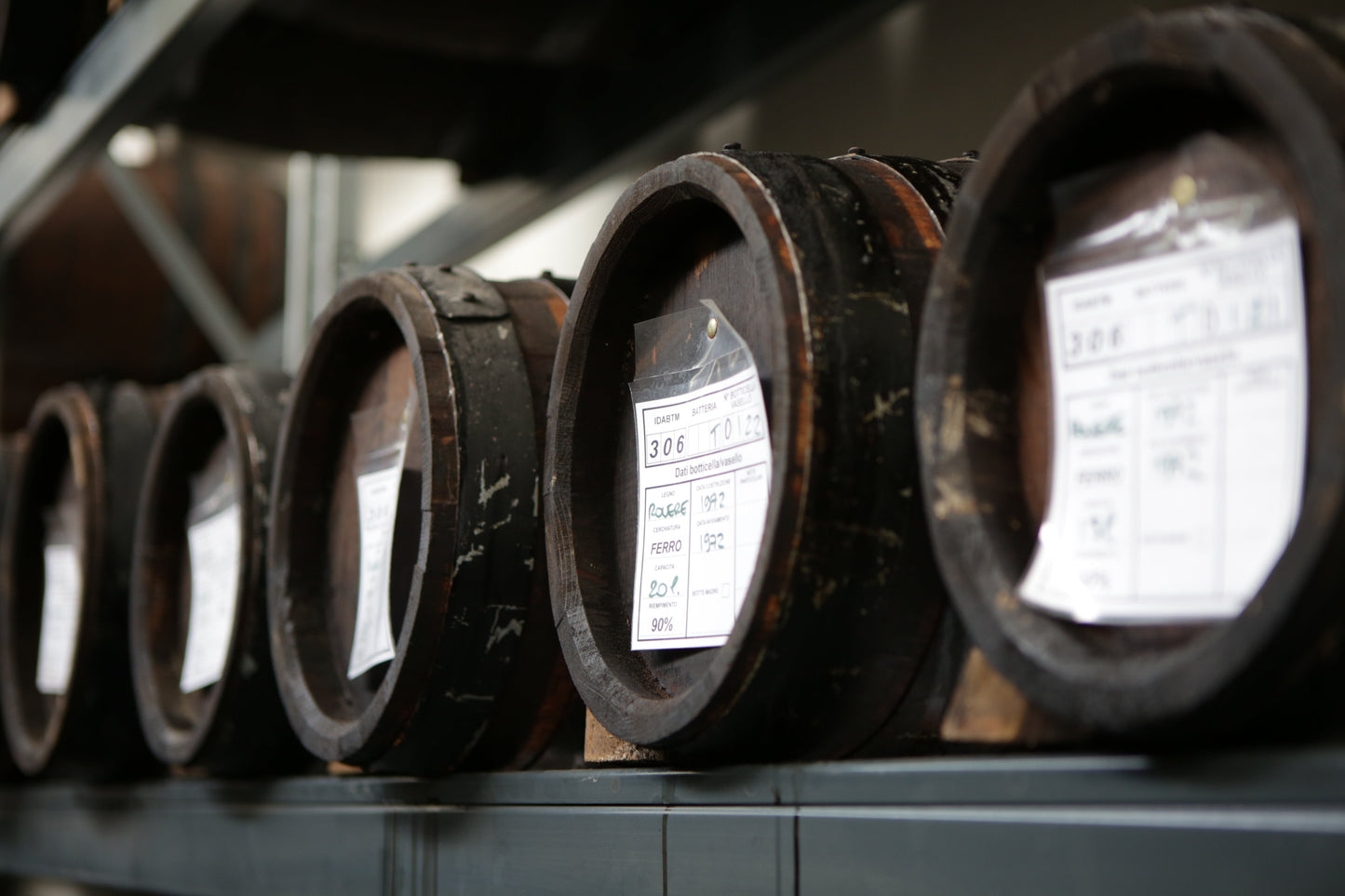 Calamansi Orange Balsamic Revolution