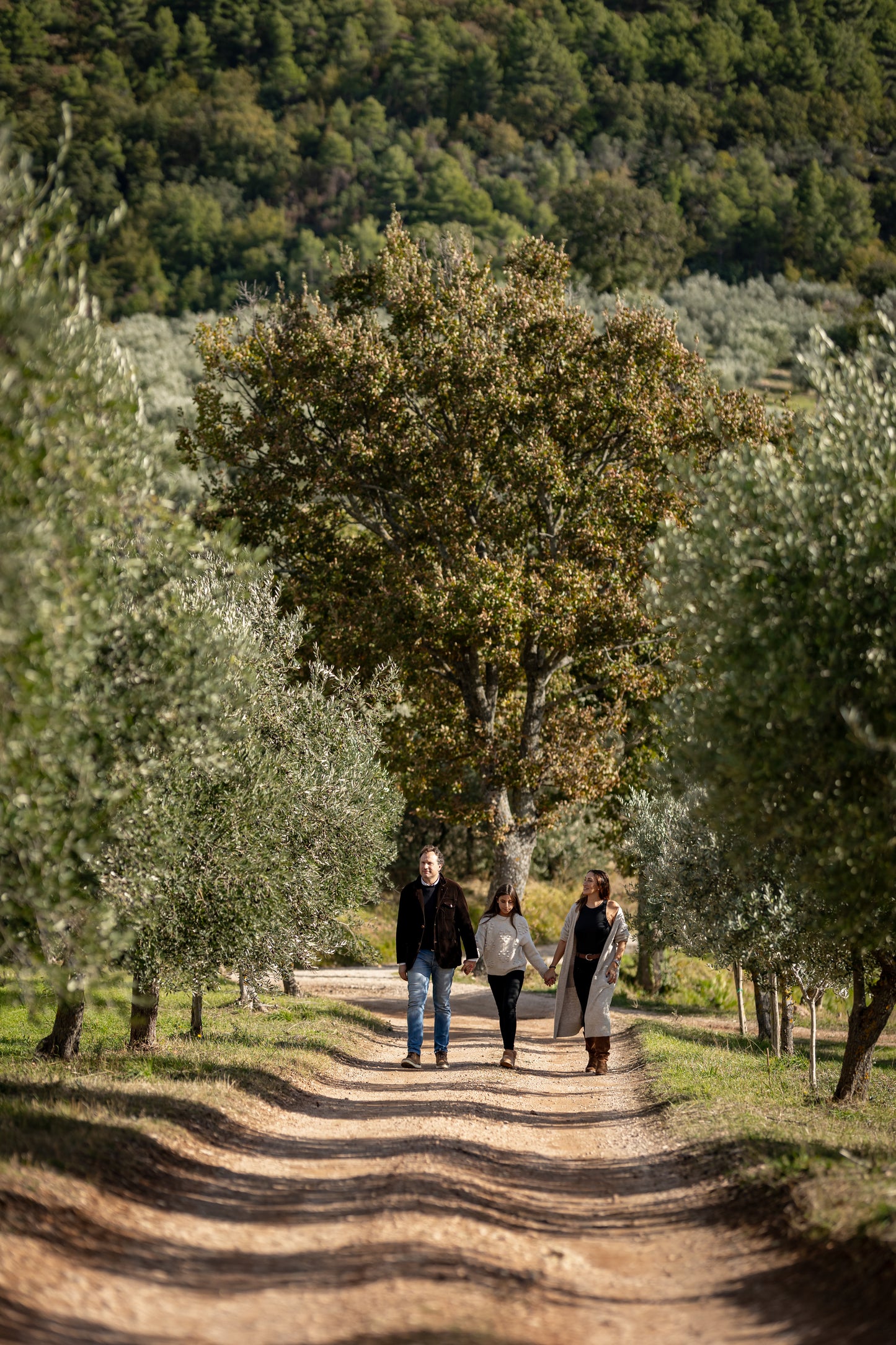 Single Estate Gradassi EVOO "Lo Sgocciolato" 16.9 fl oz