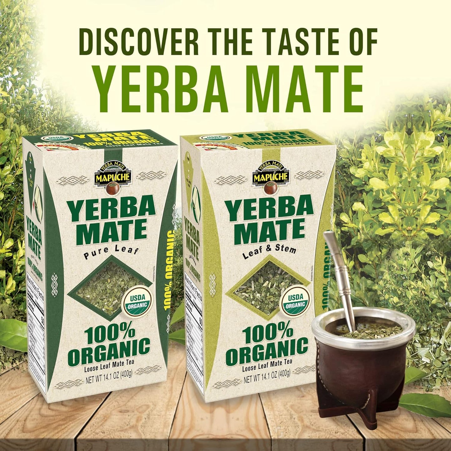 Leaf & Stem 100% Organic Yerba Mate (USDA NOP Certified) - 14.1oz (400g)